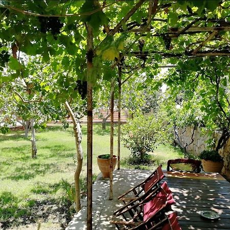 Villa Eleana 干尼亞 外观 照片
