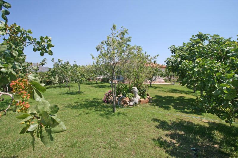 Villa Eleana 干尼亞 外观 照片