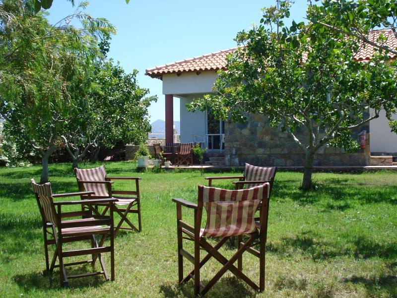 Villa Eleana 干尼亞 外观 照片