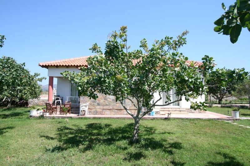 Villa Eleana 干尼亞 外观 照片