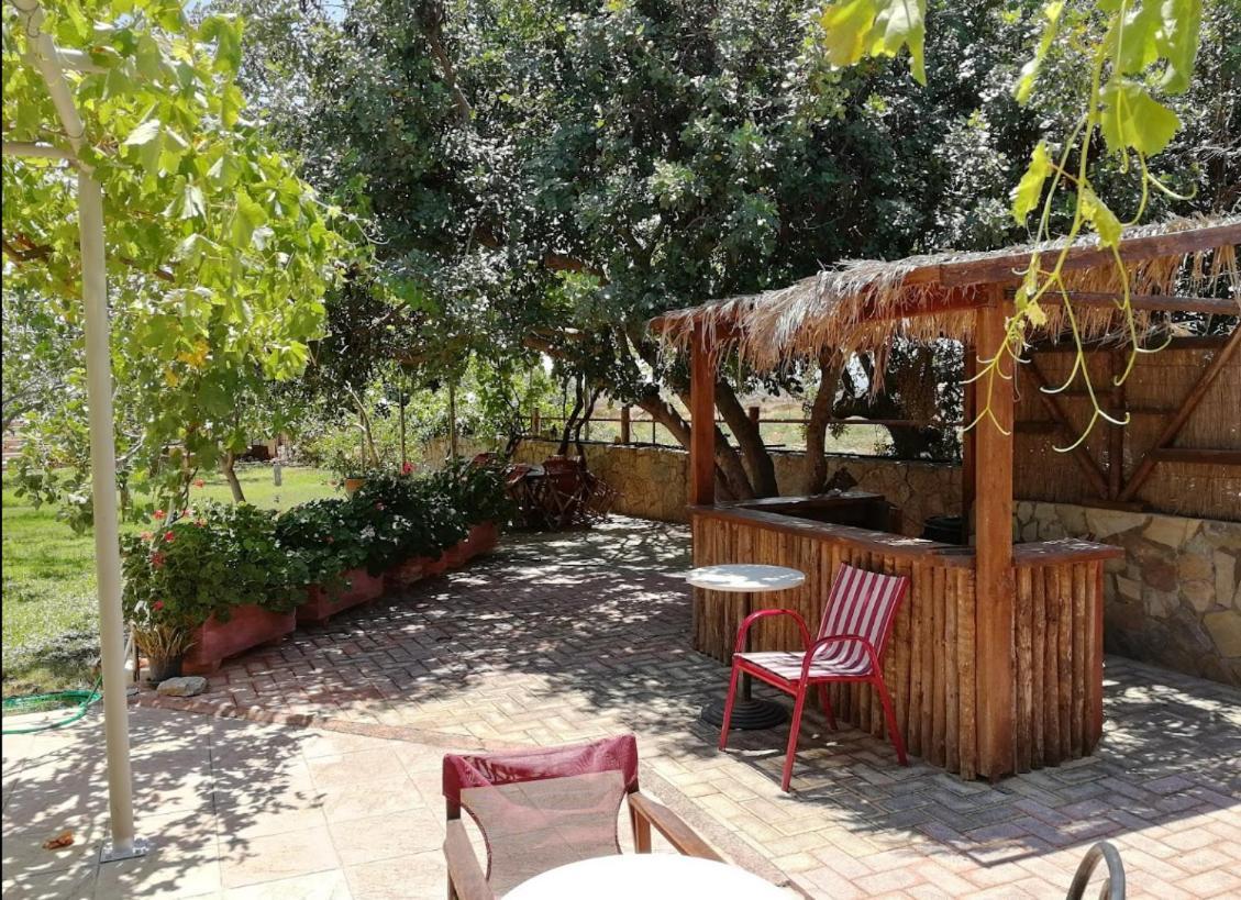Villa Eleana 干尼亞 外观 照片