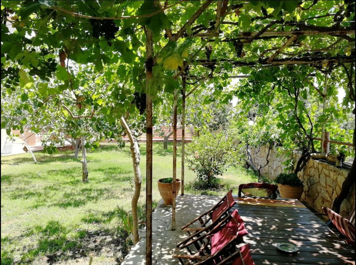 Villa Eleana 干尼亞 外观 照片
